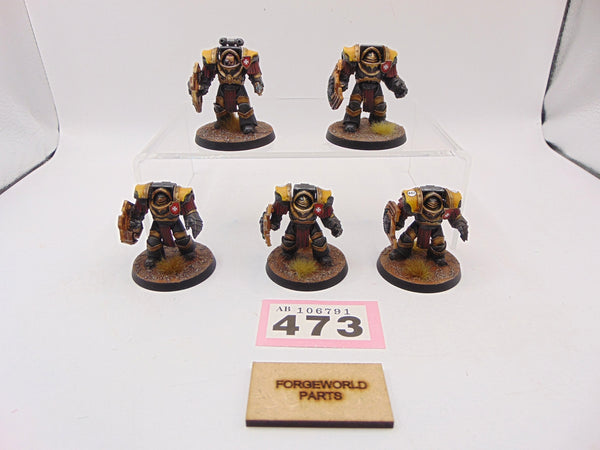 Cataphractii Terminator Squad