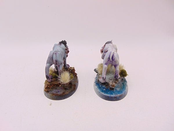 Frost Sabres