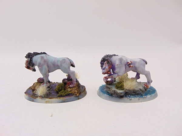 Frost Sabres