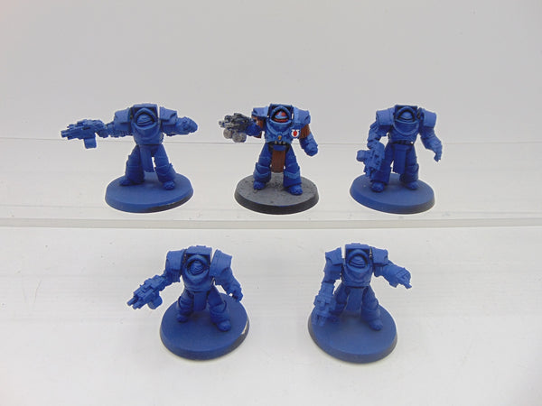 Cataphractii Terminator Squad