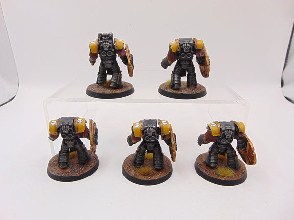 Cataphractii Terminator Squad