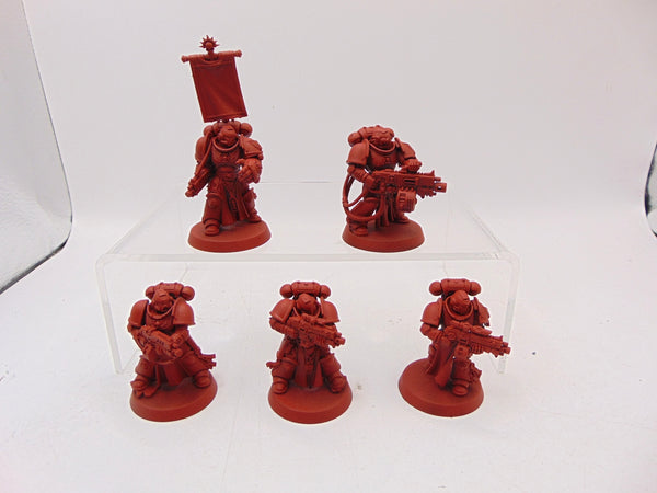 Sternguard Veterans