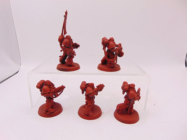 Sternguard Veterans