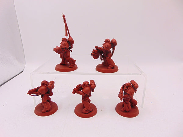 Sternguard Veterans