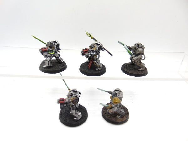 Brotherhood Terminator Squad