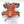 Devilfish