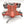 Devilfish