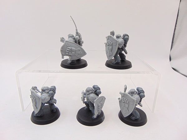 Phalanx Warder Squad