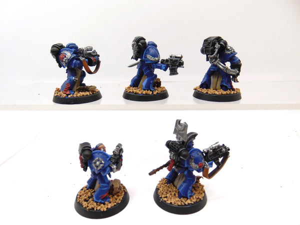 Sternguard Veterans