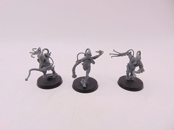 Arco Flagellants