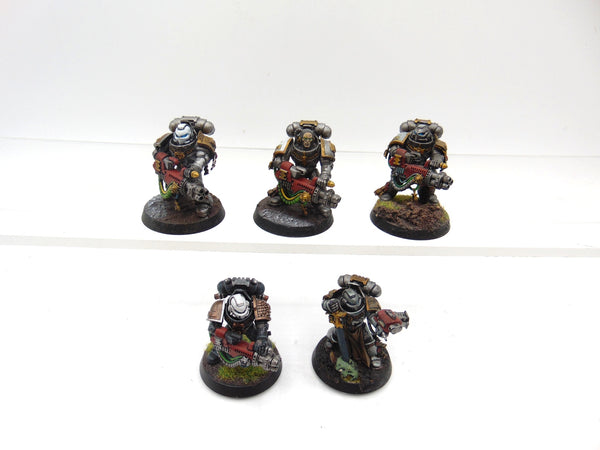 Purgation Squad
