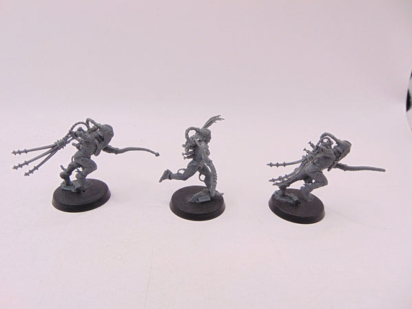 Arco Flagellants