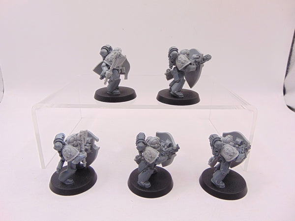 Phalanx Warder Squad