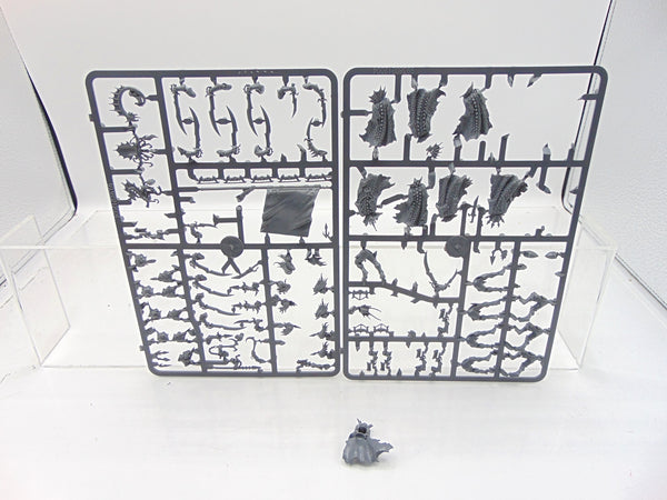 Black Ark Corsairs