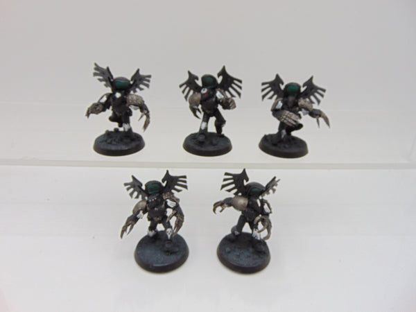 Dark Fury Assault Squad