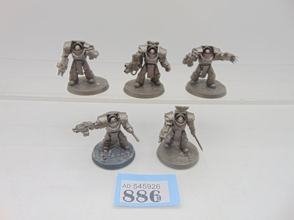 Cataphractii Terminator Squad