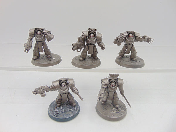 Cataphractii Terminator Squad