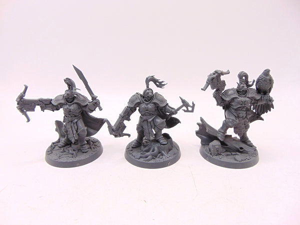 The Farstriders
