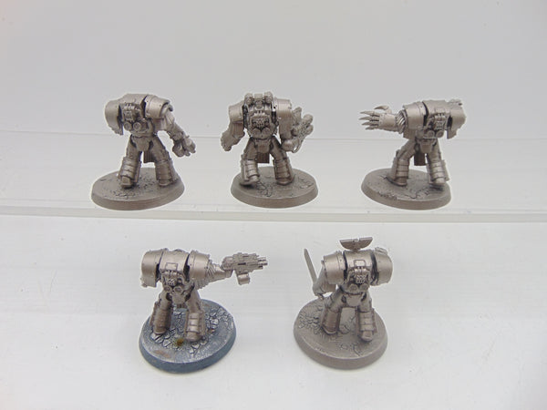 Cataphractii Terminator Squad