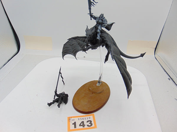 Stormdrake Guard / Knight Draconis