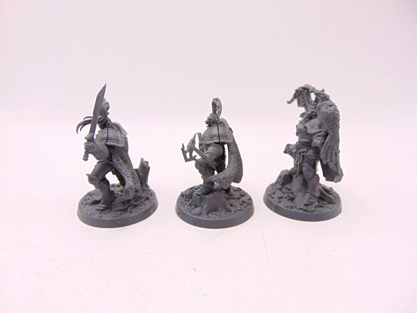 The Farstriders
