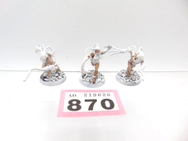 Arco Flagellants