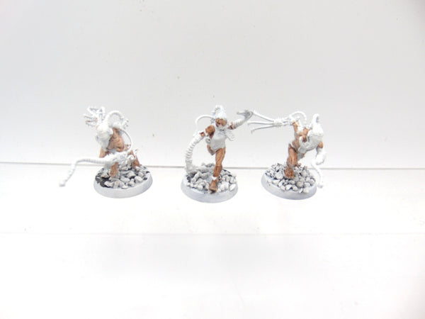 Arco Flagellants
