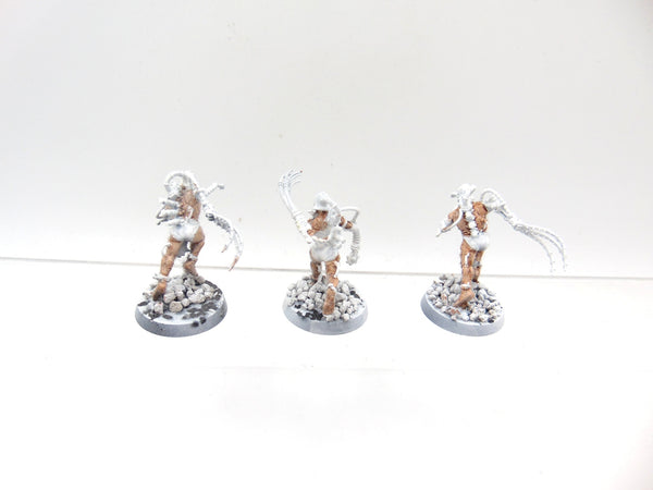 Arco Flagellants