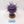 Purple Sun of Shyish
