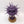 Purple Sun of Shyish