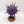 Purple Sun of Shyish