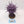 Purple Sun of Shyish