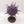 Purple Sun of Shyish
