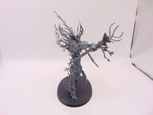 Treelord Ancient