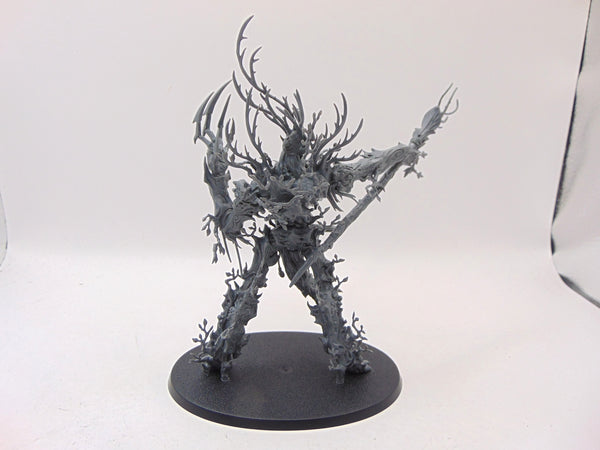 Treelord Ancient