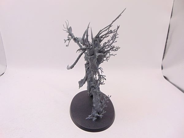 Treelord Ancient