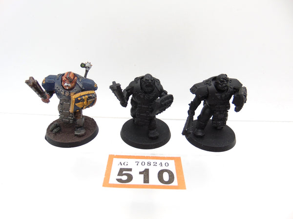 Bullgryns