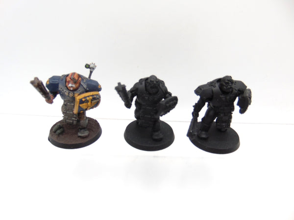 Bullgryns