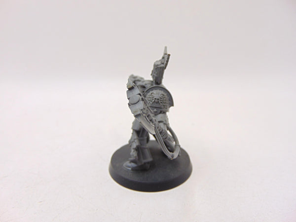 Blood Angels Librarian in Terminator Armour