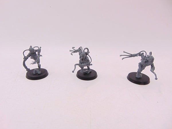 Arco Flagellants