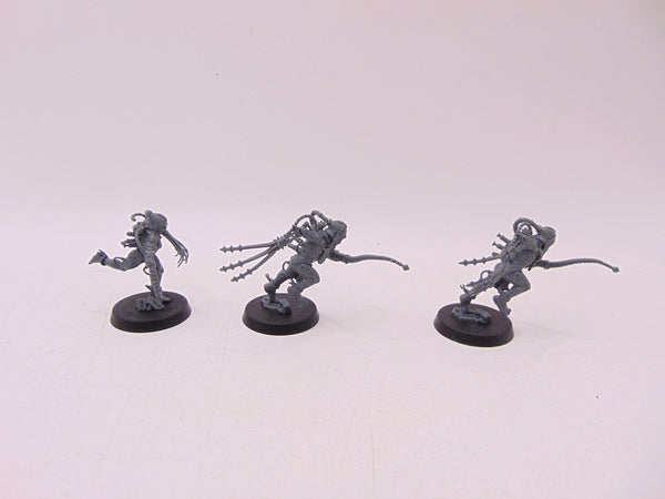 Arco Flagellants
