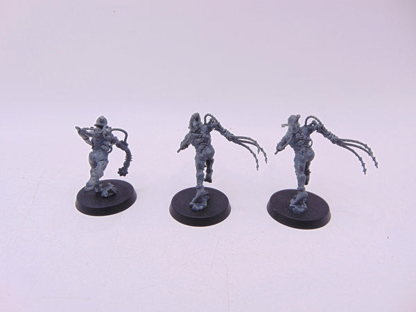 Arco Flagellants