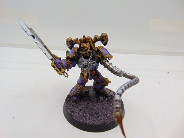 Lucias the Eternal Conversion