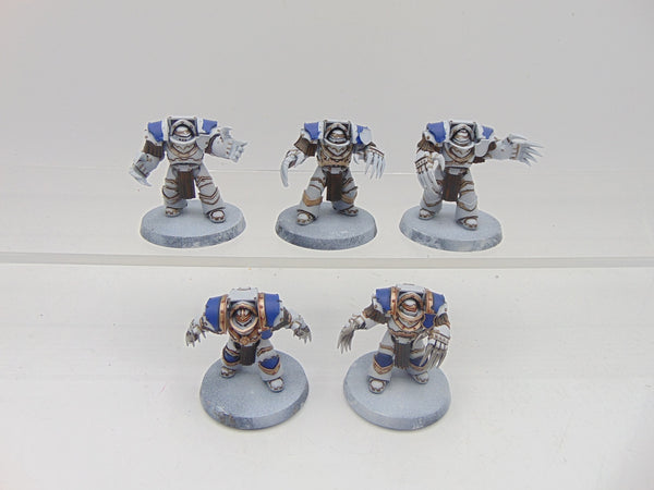 Cataphractii Terminator Squad