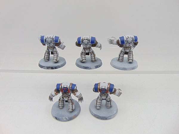 Cataphractii Terminator Squad