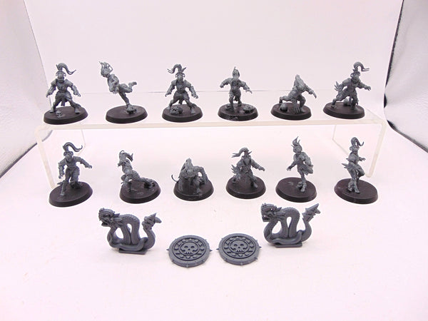 Amazon Blood Bowl Team: Kara Temple Harpies