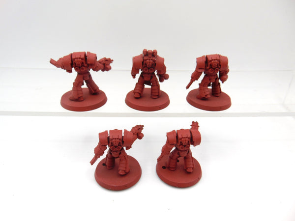 Cataphractii Terminator Squad
