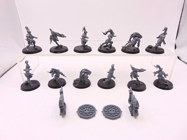 Amazon Blood Bowl Team: Kara Temple Harpies