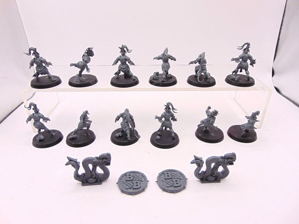 Amazon Blood Bowl Team: Kara Temple Harpies