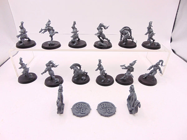Amazon Blood Bowl Team: Kara Temple Harpies